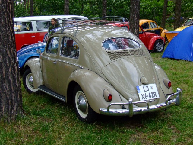 fot.Miniu 329.jpg