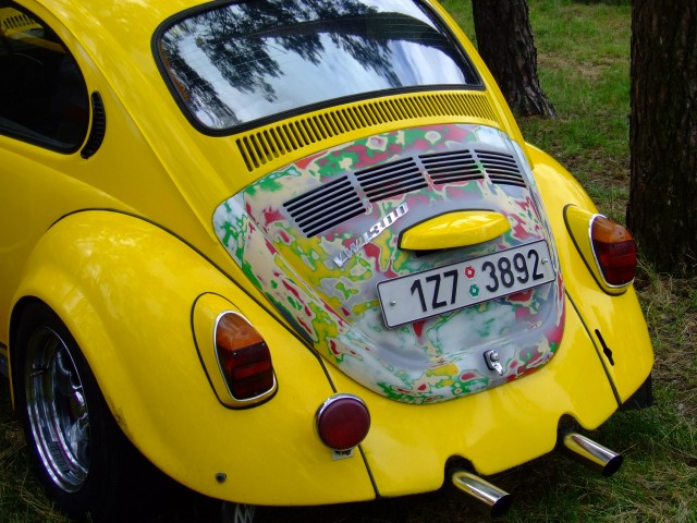 fot.Miniu 331.jpg