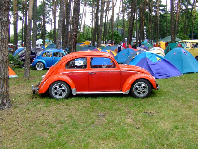 fot.Miniu 332.jpg