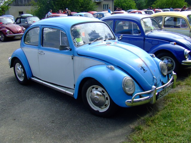 fot.Miniu 334.jpg