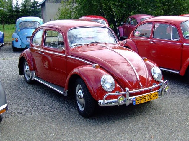 fot.Miniu 339.jpg