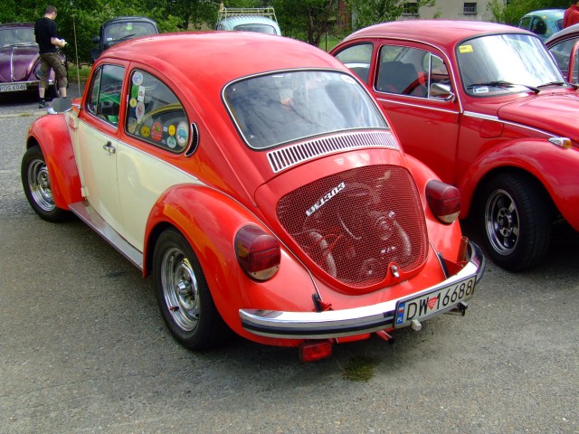 fot.Miniu 345.jpg