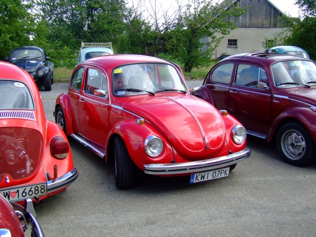 fot.Miniu 349.jpg