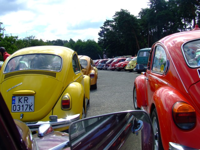 fot.Miniu 356.jpg