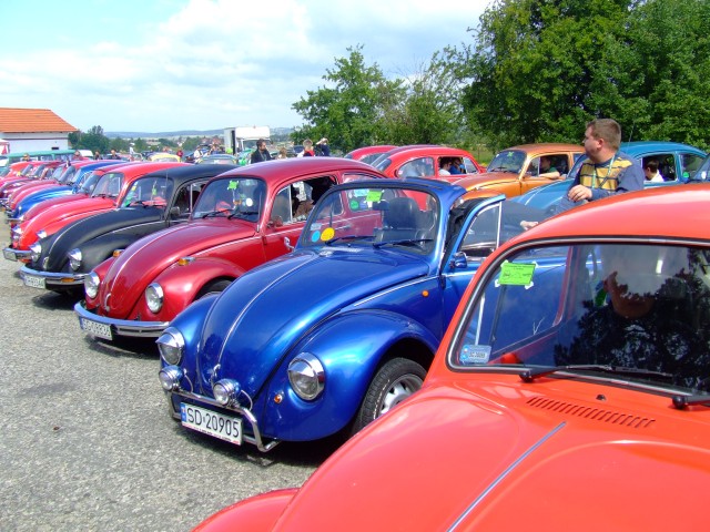 fot.Miniu 359.jpg