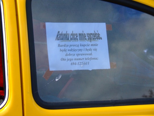 fot.Miniu 377.jpg