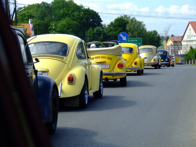 fot.Miniu 384.jpg