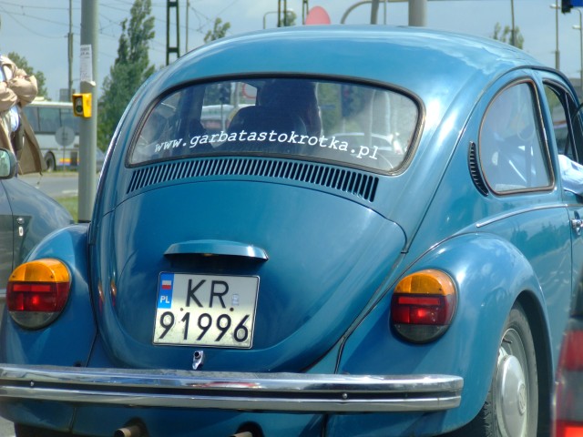 fot.Miniu 462.jpg