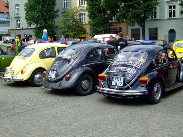 fot.Miniu 475.jpg