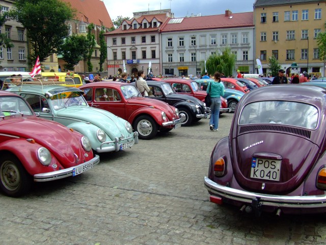 fot.Miniu 482.jpg