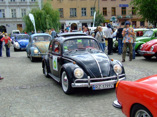 fot.Miniu 488.jpg