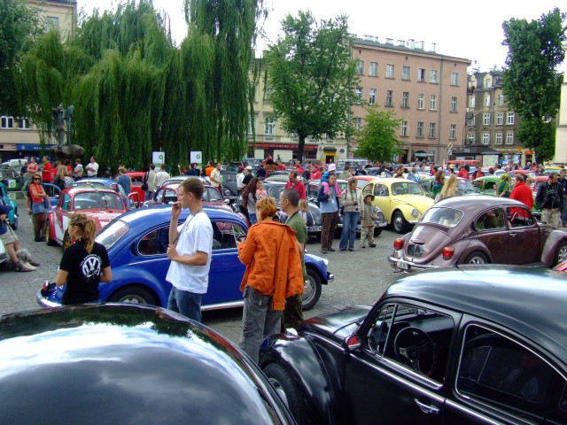 fot.Miniu 494.jpg