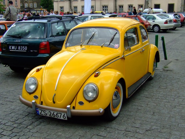 fot.Miniu 504.jpg