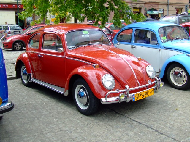 fot.Miniu 513.jpg