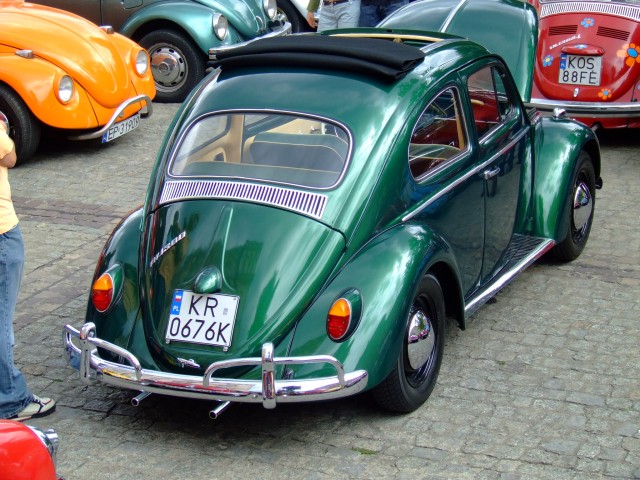fot.Miniu 521.jpg