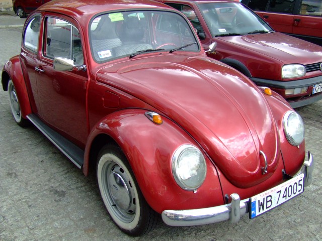 fot.Miniu 524.jpg