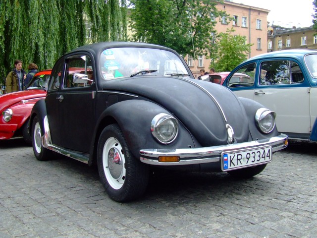 fot.Miniu 533.jpg