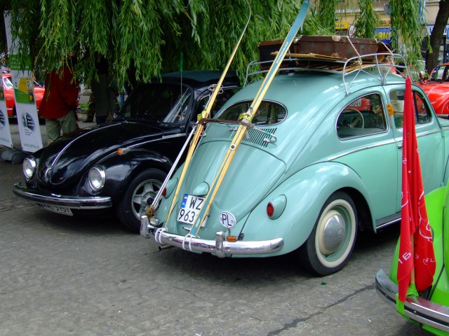 fot.Miniu 536.jpg