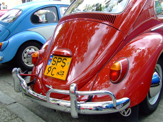 fot.Miniu 542.jpg