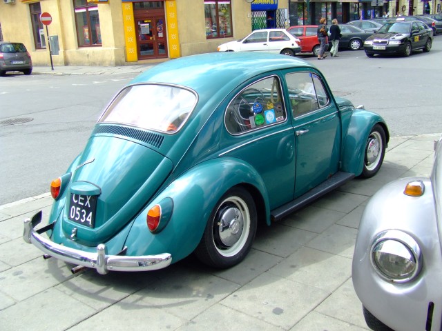 fot.Miniu 549.jpg