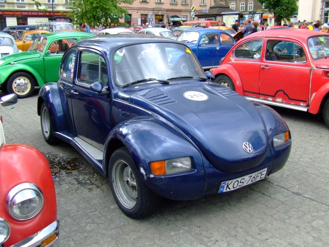 fot.Miniu 557.jpg