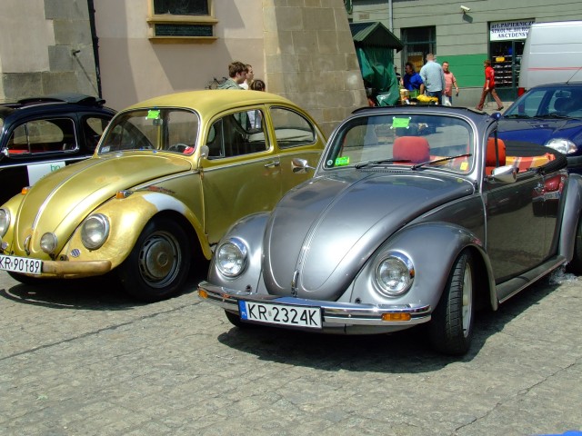fot.Miniu 567.jpg