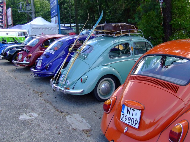 fot.Miniu 632.jpg