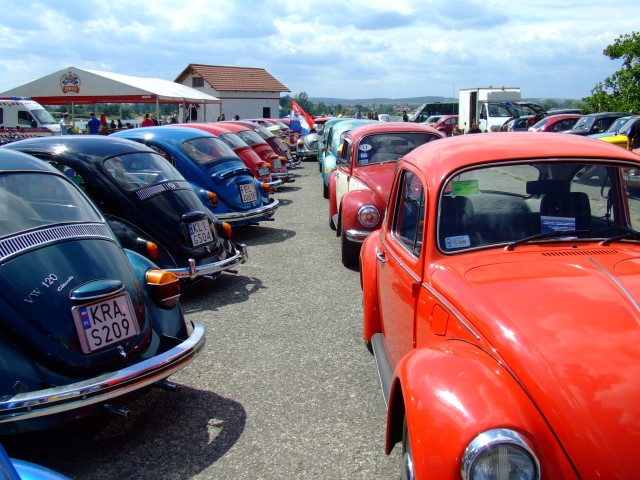 fot.Miniu 648.jpg
