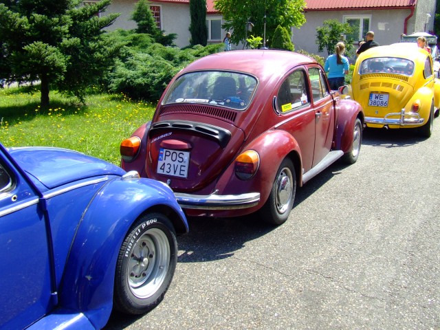 fot.Miniu 768.jpg