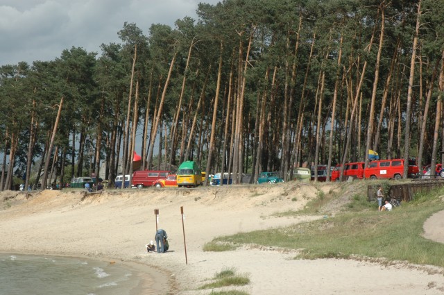 vw garbusy2007 016.jpg
