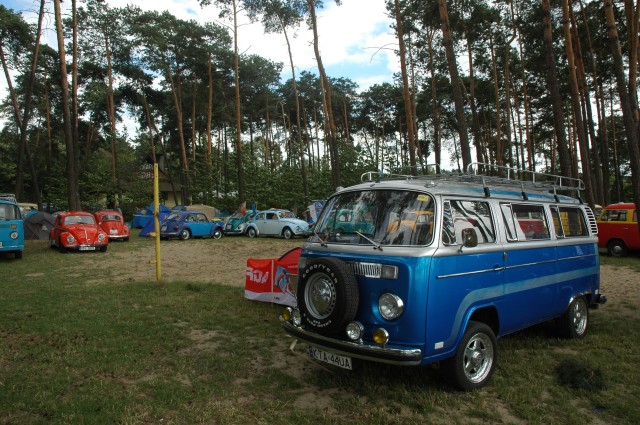 vw garbusy2007 035.jpg