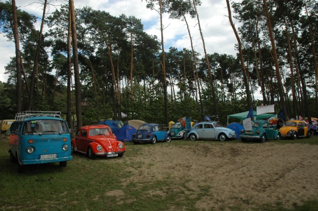 vw garbusy2007 038.jpg