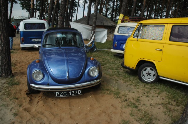 vw garbusy2007 041.jpg