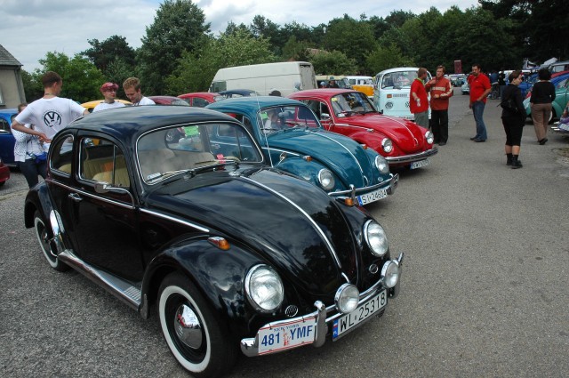 vw garbusy2007 056.jpg