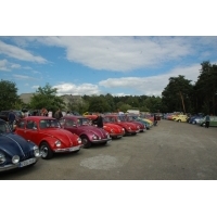 vw garbusy2007 147.jpg