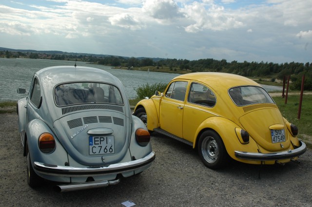 vw garbusy2007 194.jpg