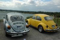 vw garbusy2007 194.jpg