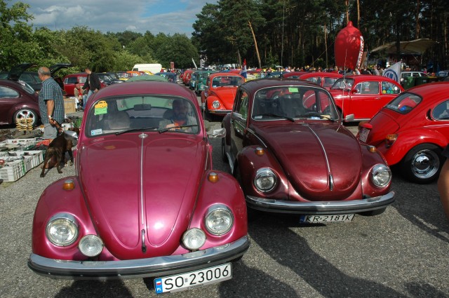 vw garbusy2007 318.jpg