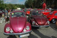 vw garbusy2007 318.jpg