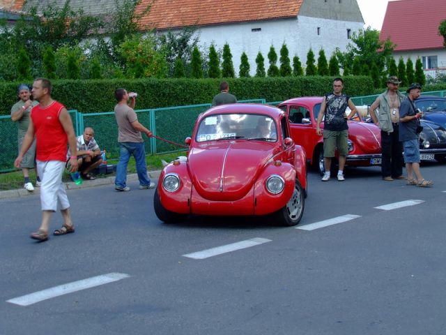 fot.Miniu
