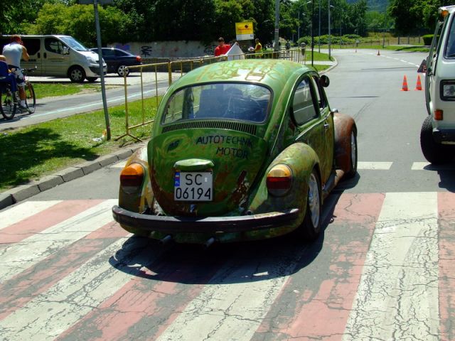 fot.Miniu
