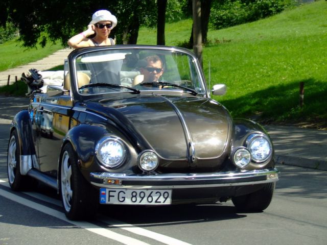 fot.Miniu
