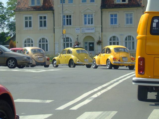 fot.Miniu