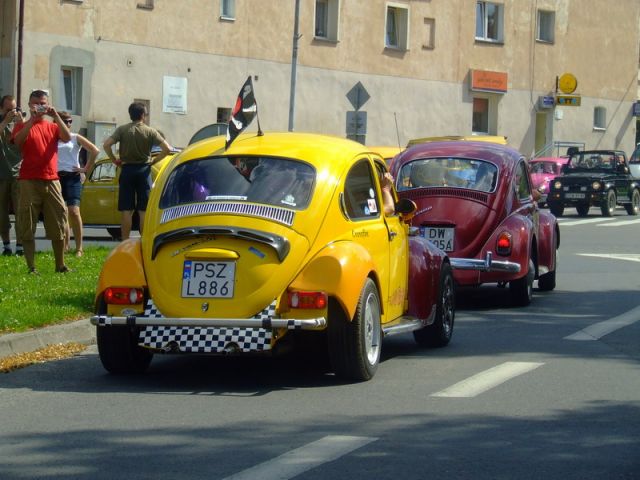 fot.Miniu
