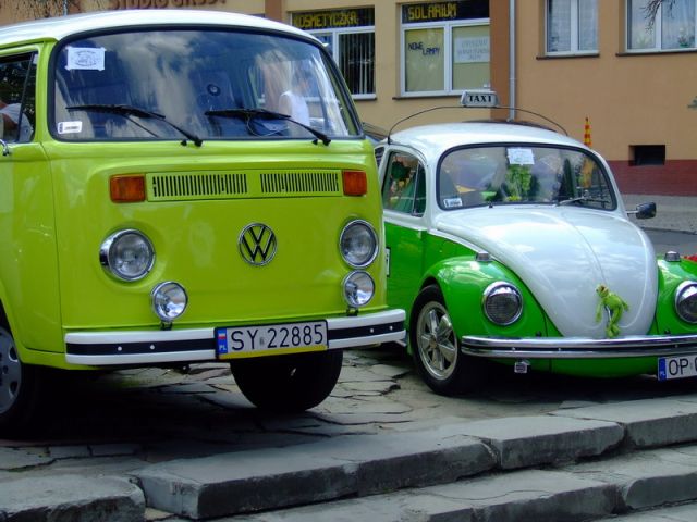fot.Miniu