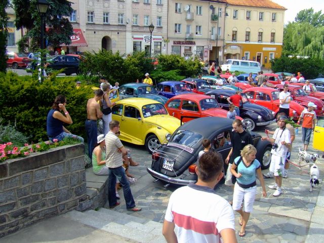 fot.Miniu
