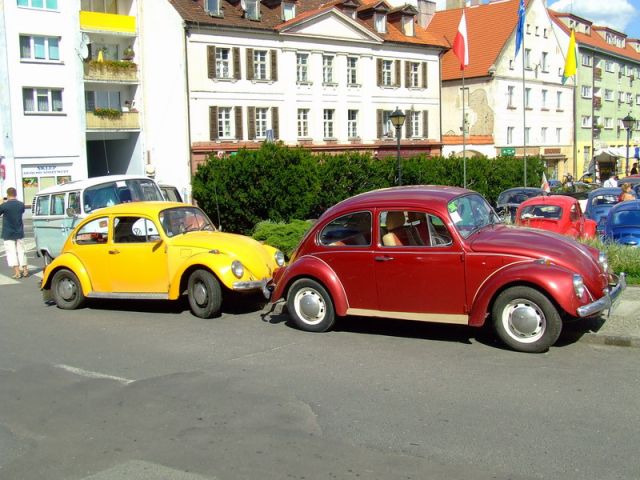 fot.Miniu