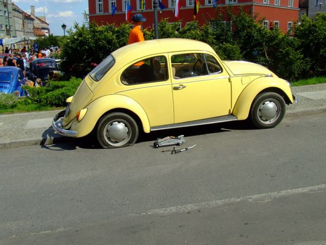 fot.Miniu