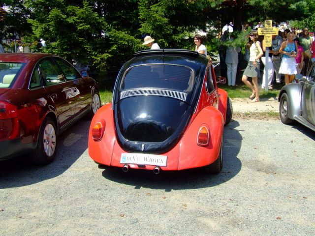 DSCF7237.jpg