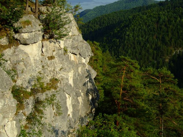 Fot.Miniu